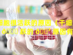 干细胞很活跃的原因（干细胞很活 🐟 跃的 🌳 原因有哪些）